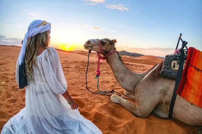 Morning Desert Safari with Quad Bike, Camel Ride & Sandboarding - Lahbab’s red dunes set the tone