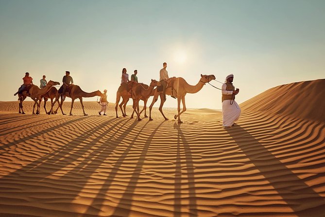 Morning Desert Safari with Quad Bike Tour Abu Dhabi - Who will enjoy this safari most