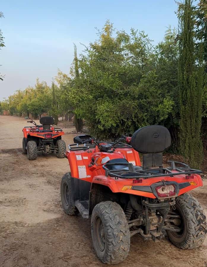 Nairobi: ATV/Quad Bike Wildlife Safari with Transfers & meal - Rain, dust, and what to wear