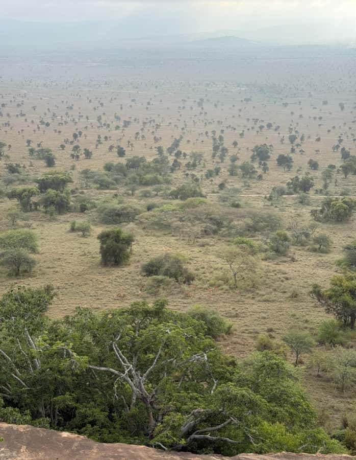 Nairobi: ATV/Quad Bike Wildlife Safari with Transfers & meal - What the $190 price includes