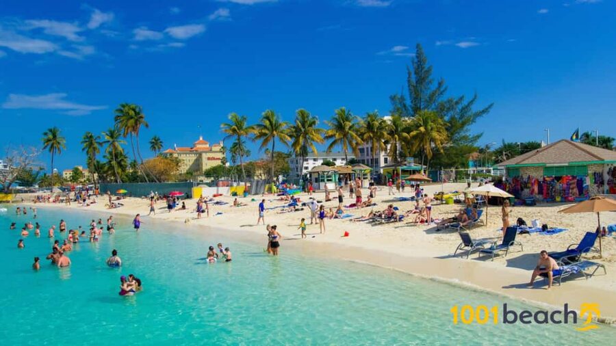 Nassau: Self Drive Speed Boat & Guided ATV Tour + Free Lunch - Guide quality makes the biggest difference
