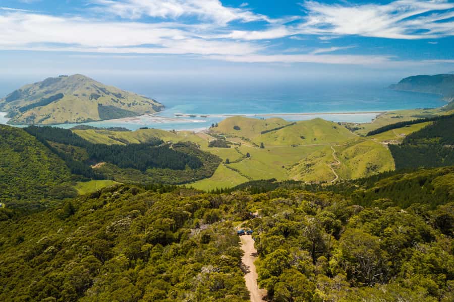 Nelson: Guided Quad Biking Tour Through Forest and Farmland - Key points to know before you ride