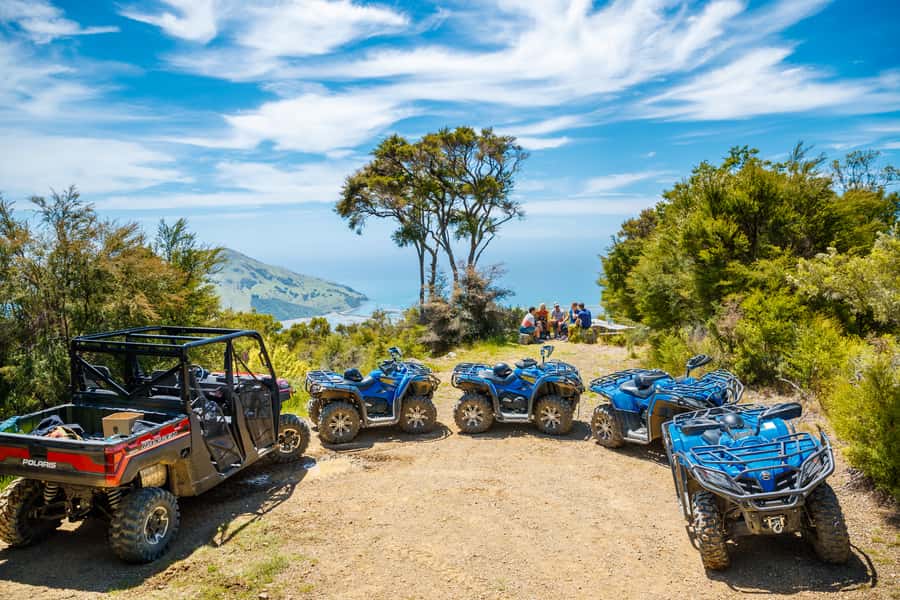 Nelson: Guided Quad Biking Tour Through Forest and Farmland - Practical booking advice for Nelson