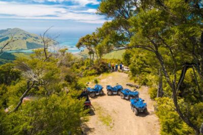 Nelson: Guided Quad Biking Tour Through Forest and Farmland