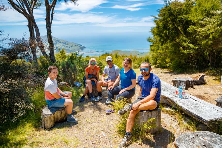 Nelson: Guided Quad Biking Tour Through Forest and Farmland - Forest, farm, and the climb toward Skywire Hill