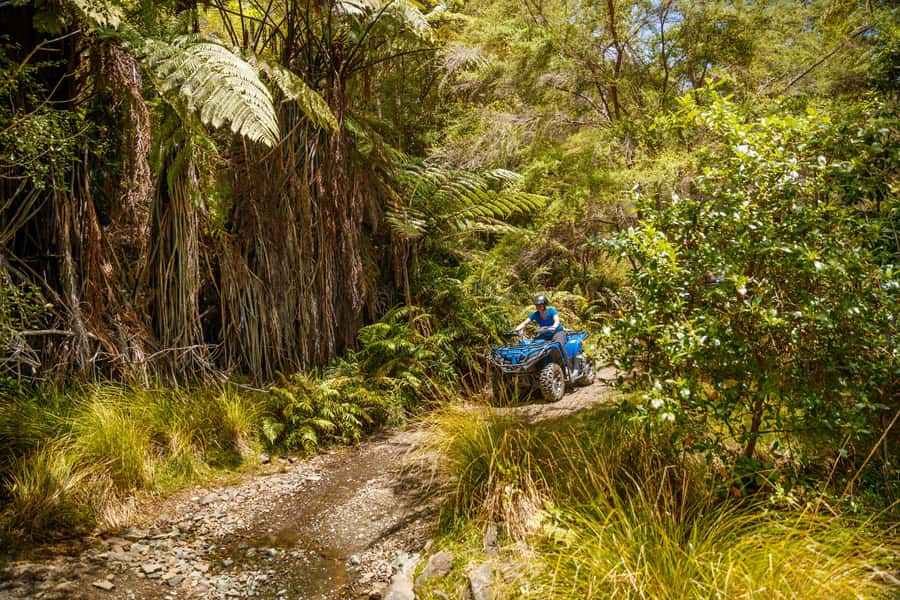 Nelson: Guided Quad Biking Tour Through Forest and Farmland - Bayview lookout and the coastal view