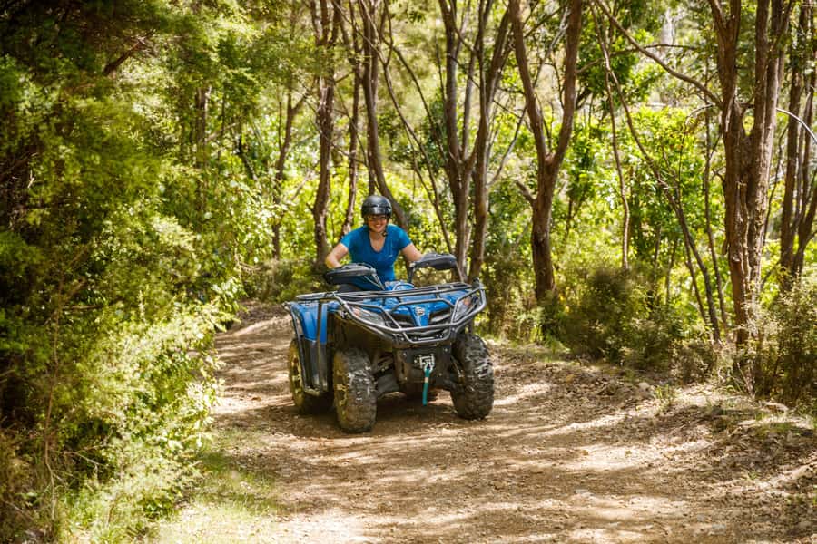 Nelson: Guided Quad Biking Tour Through Forest and Farmland - Returning through farmland and river flats