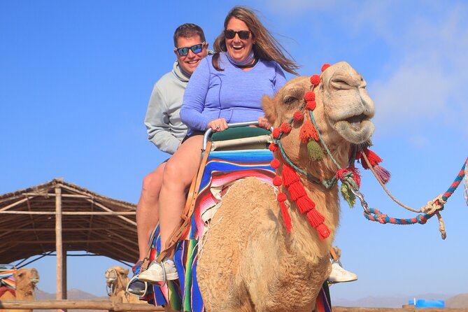 NEW! Combo Camel Beach Ride and UTV 4X4 Cabo Adventure, Tequila & - Photography, phones, and personal freedom