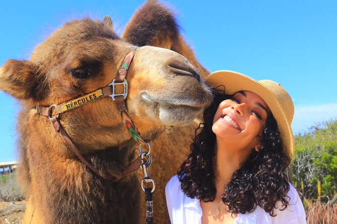 NEW! Combo Camel Beach Ride and UTV 4X4 Cabo Adventure, Tequila & - Timing, pickup, and the pace of the day