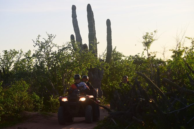 New!!! Extreme Beach & Desert Off-Road Atv Experience… - Into the desert for the old cactus stop