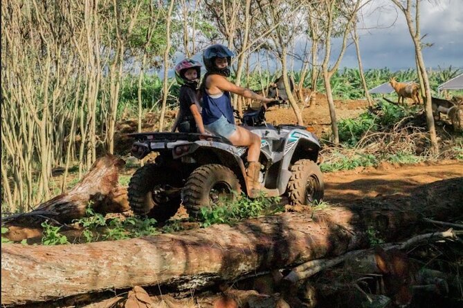 Oahu Beachfront ATV Adventure and Farm Tour - Is $130.89 a fair price?