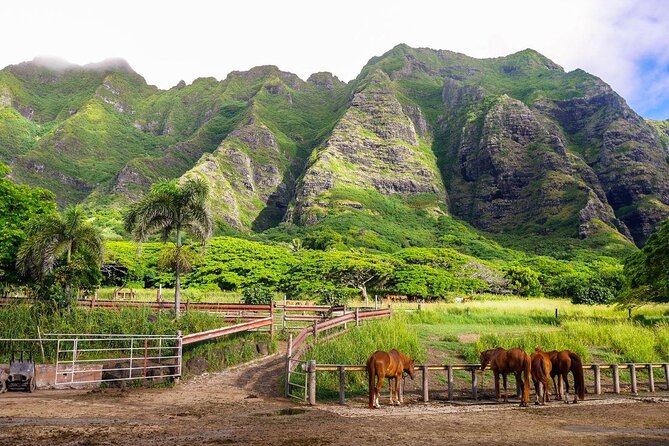 Oahu: Kualoa Ranch UTV Raptor Tour - The Raptor setup for couples and families
