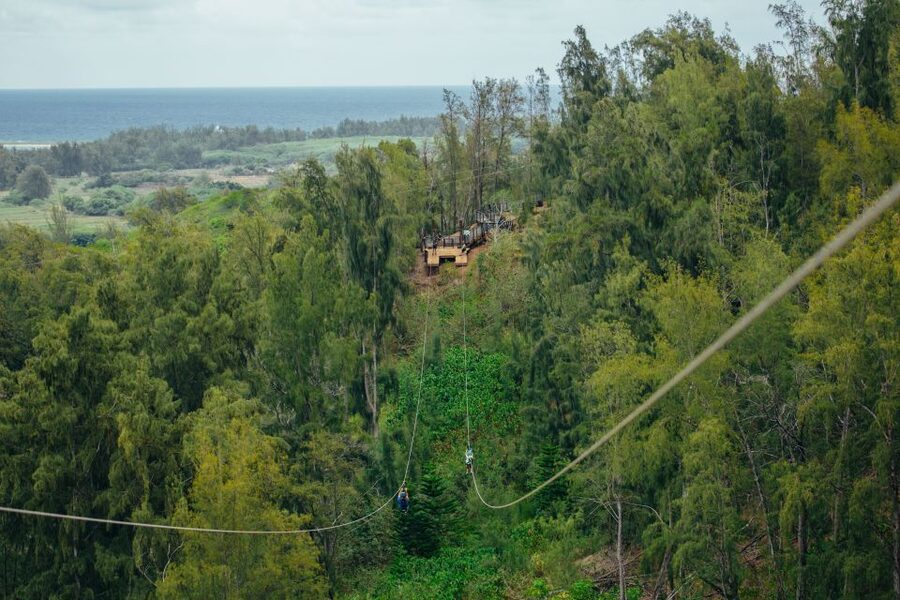 Oahu: North Shore Zip Line Adventure with ATV and Farm Tour - Who will enjoy this North Shore adventure?