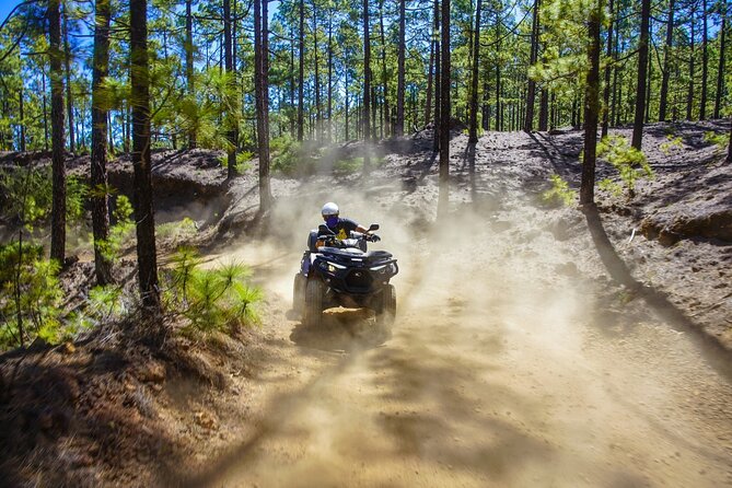 Off-Road Quad Tour from Woodlands to Volcanic Heights - Key points to know before booking