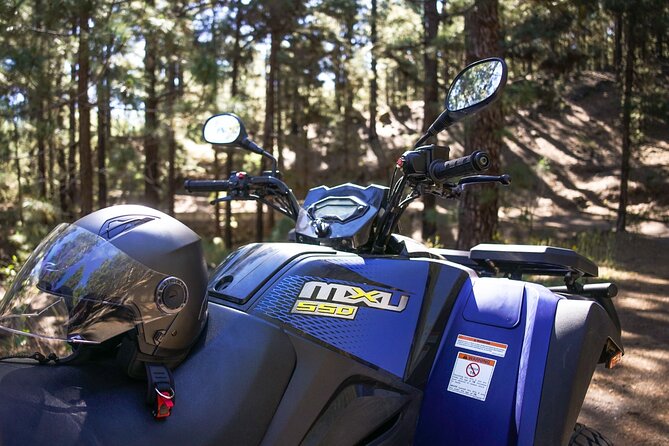 Off-Road Quad Tour from Woodlands to Volcanic Heights - From Santiago del Teide to the forest crown of Mount Teide