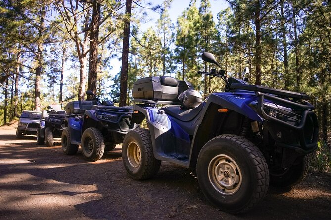 Off-Road Quad Tour from Woodlands to Volcanic Heights - Who should book this Tenerife quad tour?