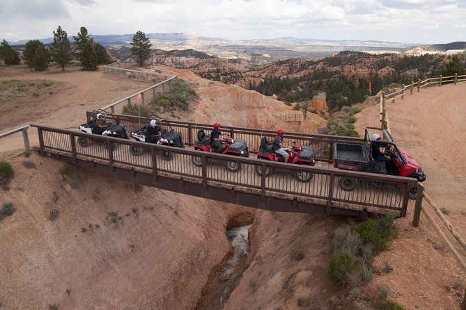 One Hour Guided ATV Ride in Utah - Forest trails, hills, and a little wildlife