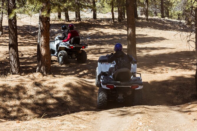 One Hour Guided ATV Ride in Utah - Guides who help beginners feel at ease