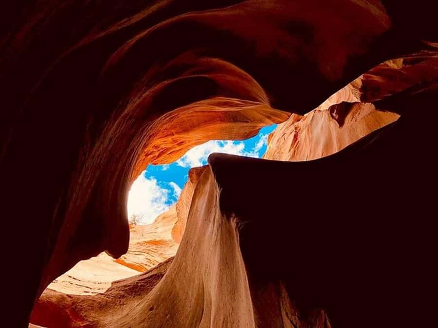 Orderville: East Zion Slot Canyons Award-Winning UTV Tour - Key points to know before you book