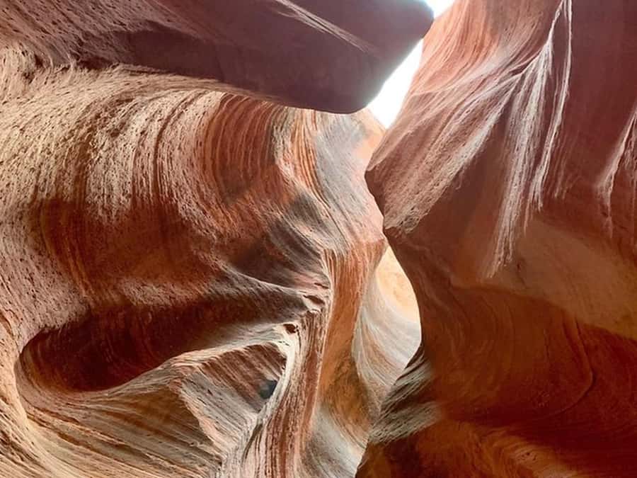 Orderville: East Zion Slot Canyons Award-Winning UTV Tour - FAQ