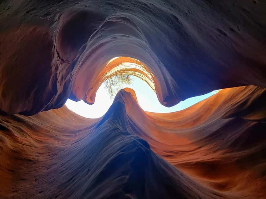 Orderville: East Zion Slot Canyons Award-Winning UTV Tour - Upper and Lower Red Cave Slot Canyons