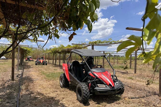 Orlando Dune Buggy Tour - Leaving Orlando for Saint Cloud