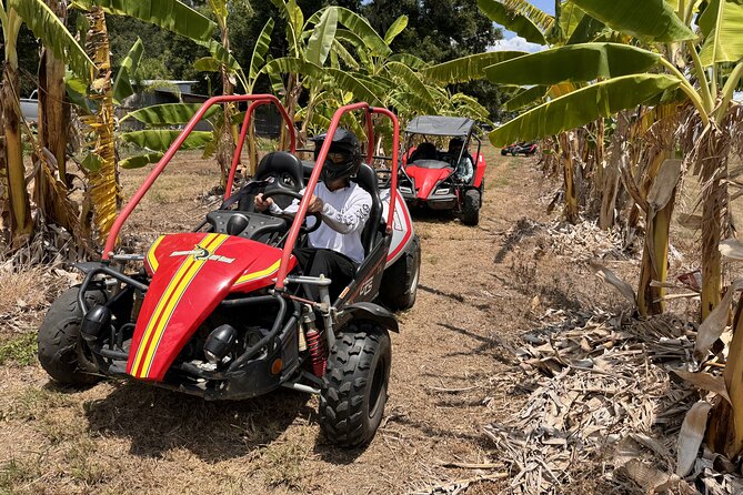 Orlando Dune Buggy Tour - Who will enjoy this most?