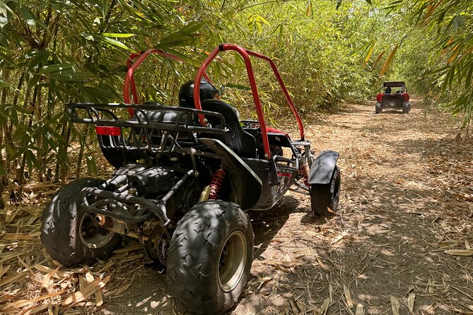 Orlando: Dune Buggy Tour - The one-hour off-road ride