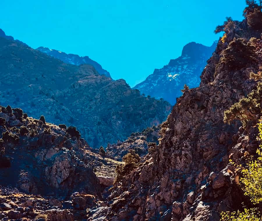 Ourika Valley: Quad Biking,Camel Riding,and Hiking Adventure - Key points to know before booking