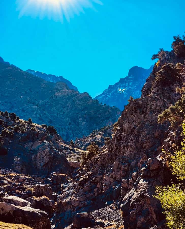 Ourika Valley: Quad Biking,Camel Riding,and Hiking Adventure - Timing, transport, and group size