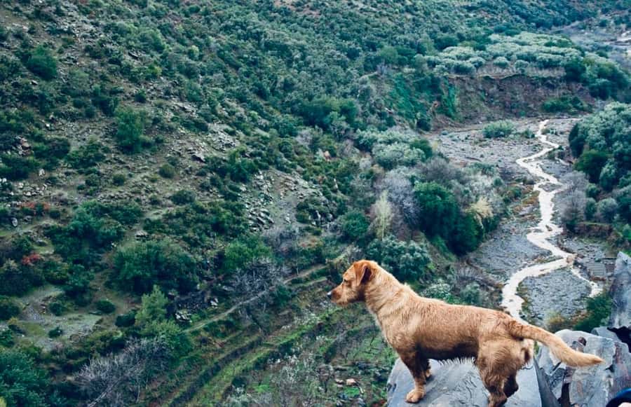 Ourika Valley: Quad Biking,Camel Riding,and Hiking Adventure - Quad biking across the Atlas foothills