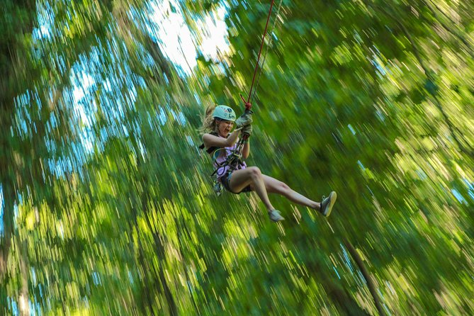 Outdoor Ziplining and UTV Adventure from Los Cabos - The ride from Cabo to Boca de Sierra National Park