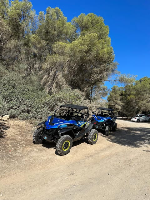 Paguera: 2 Hour Buggy Tour - Key points to know before you book