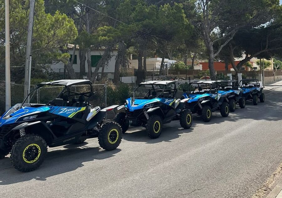Paguera: 2 Hour Buggy Tour - Starting in Paguera with a simple automatic buggy