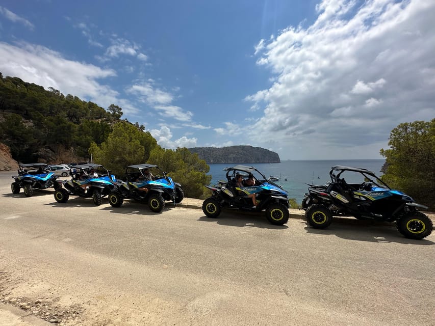 Paguera: 2 Hour Buggy Tour - What $69 really gets you