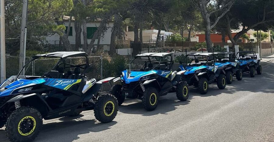 Paguera: 2 Hour Buggy Tour - Who will enjoy this Paguera excursion
