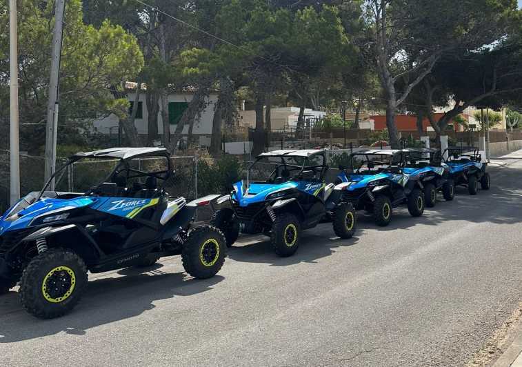 Paguera: 2 Hour Buggy Tour - Along the Calvià coast toward Malgrats Island