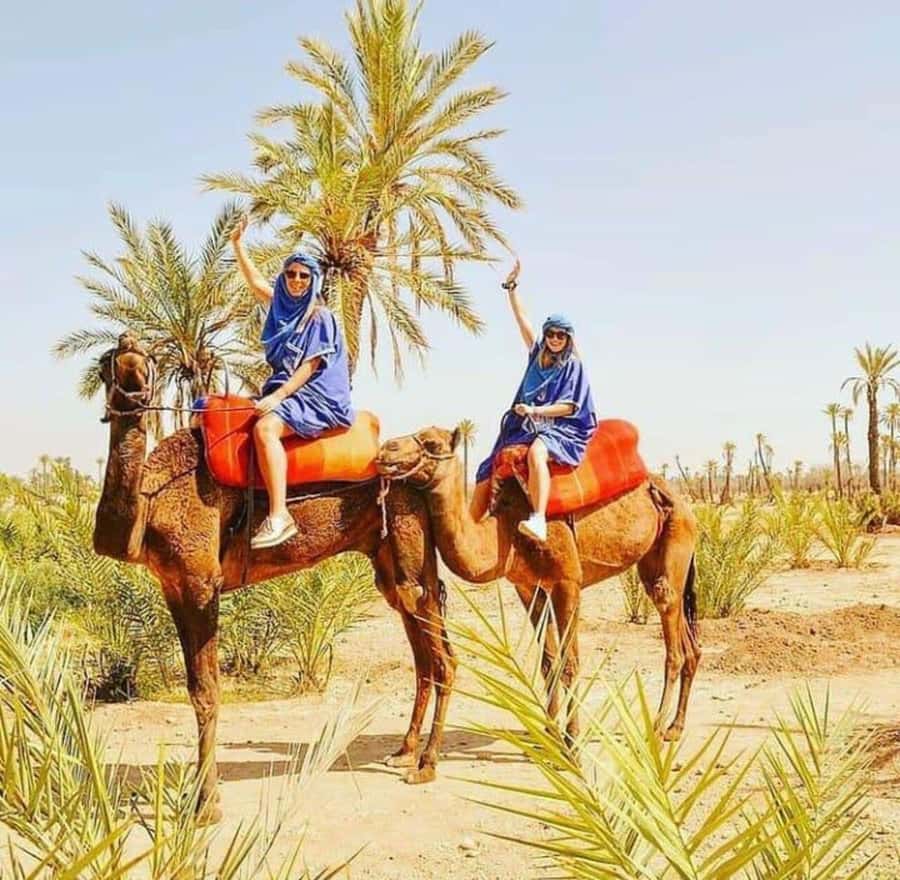 Palmeraie Marrakech Camel Ride & Quad Bike Package Exprience - Mint tea, olives, and a pause with local residents