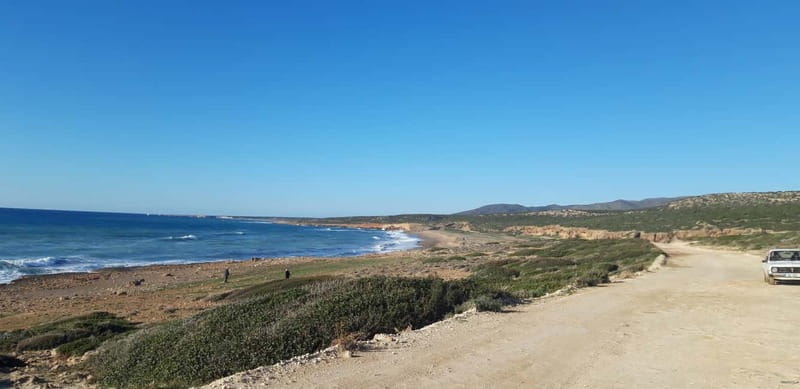 Paphos: Buggy Safari to Akamas Peninsula with Lunch - Who should book this Paphos buggy tour