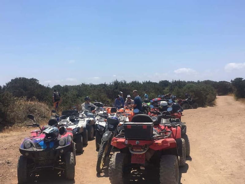Paphos: Buggy Tour Akamas incl and Adonis Falls - Should you book the Akamas buggy tour?