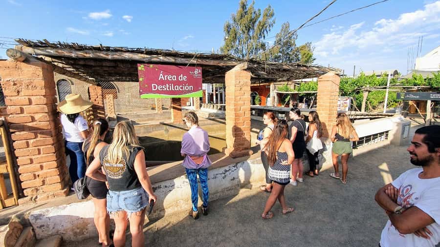 Paracas or Pisco: Private Huacachina Oasis Tour & Buggy Ride - From Paracas to Ica, with the desert ahead
