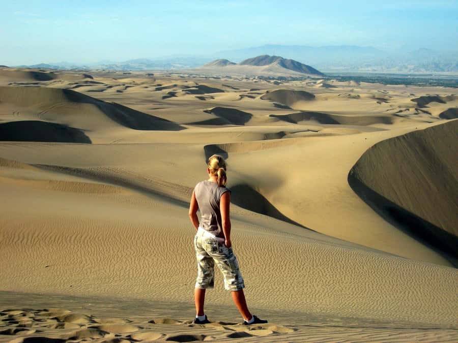 Paracas or Pisco: Private Huacachina Oasis Tour & Buggy Ride - A traditional winery and a taste of pisco