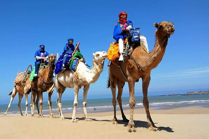 Paradise Valley & Desert Dunes with Camel Ride and quad bike - From Agadir to Paradise Valley