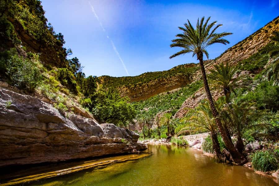 Paradise Valley & Desert Dunes with Camel Ride and quad bike - Who will enjoy this day most