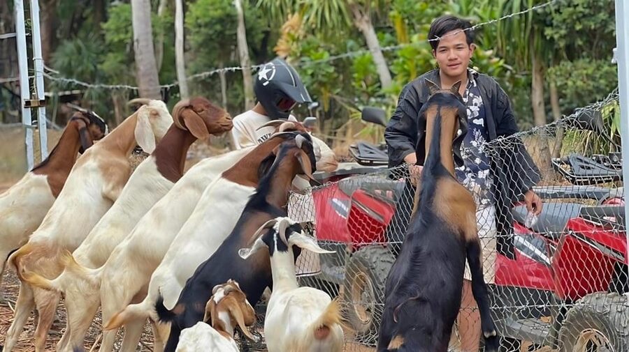 Phuket: ATV Ride with Secret Sea Viewpoints and Swing - Who Should Book This ATV Experience?