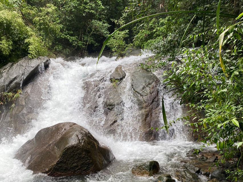 Phuket: Bamboo Rafting, Monkey Cave, and ATV Option - The Sea Turtle Conservation Center