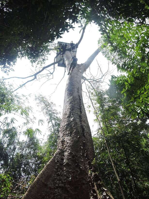 Phuket: Big Buddha Viewpoint ATV Tour and Zipline Adventure - Combining ATV riding and ziplining