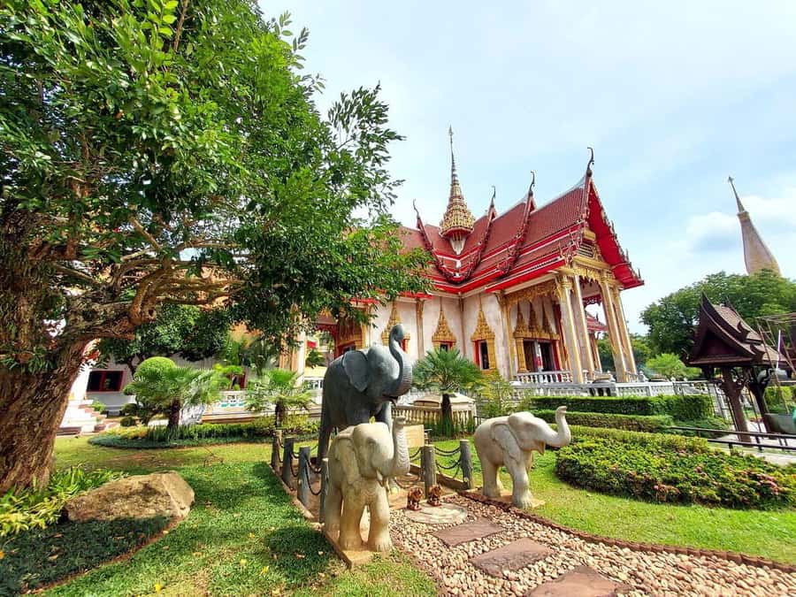 Phuket City Tour with ATV Adventure and Elephant Feeding - Big Buddha and Wat Chalong