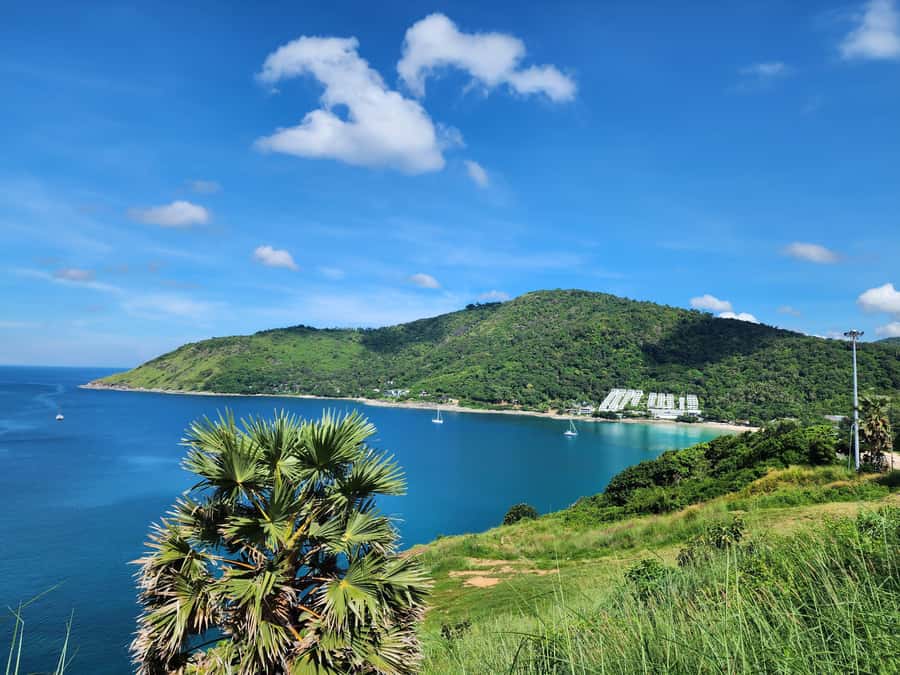 Phuket City Tour with ATV Adventure and Elephant Feeding - Tiger Kingdom and the risk of a rushed visit