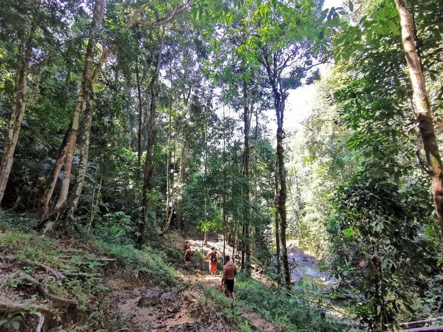 Phuket: Monkey Cave, Water Rafting, Zipline with ATV Option - The zipline: fun for beginners, brief for thrill seekers